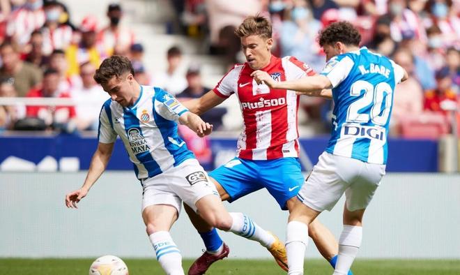 塔瓦雷斯需 塔瓦雷斯需