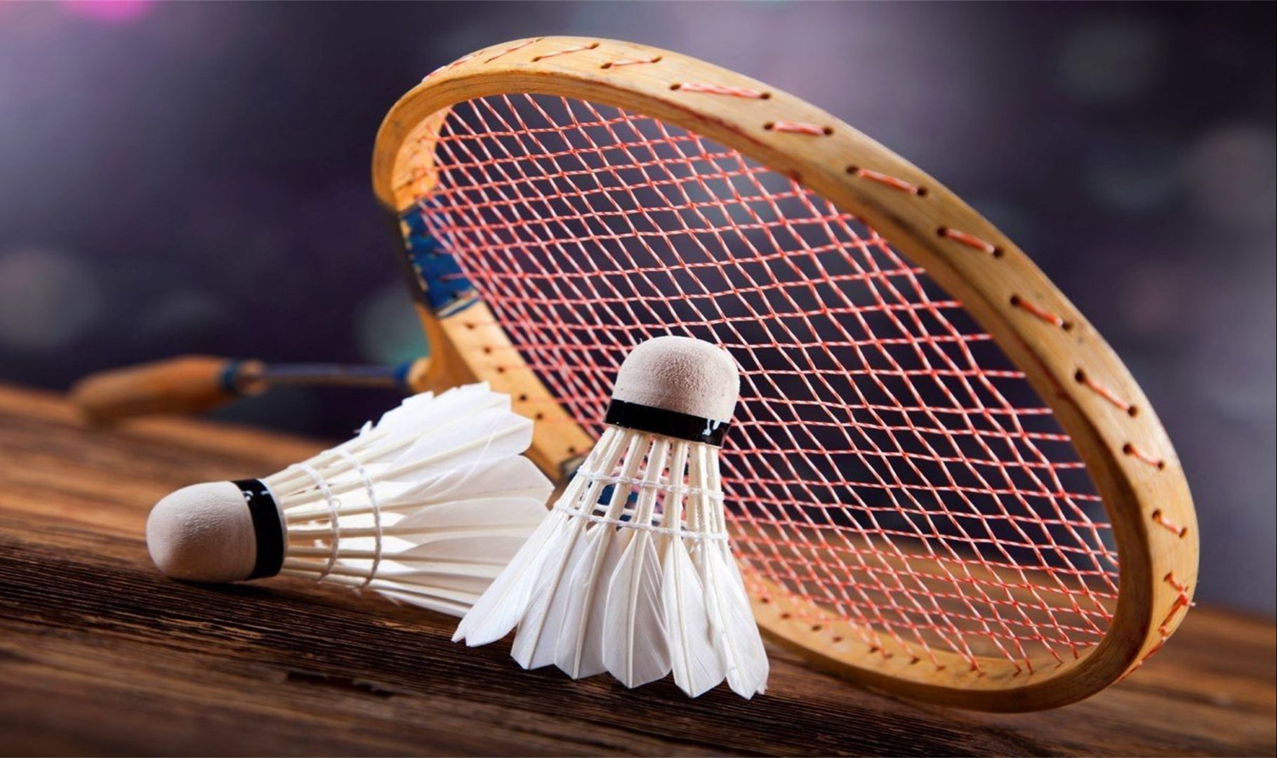 在百家乐里 在百家乐里